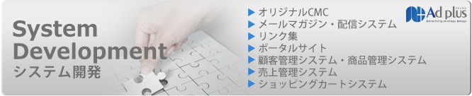 システム開発