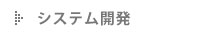 システム開発